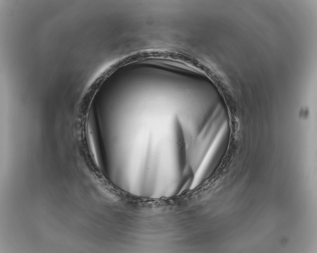 X0000091451208200709061727