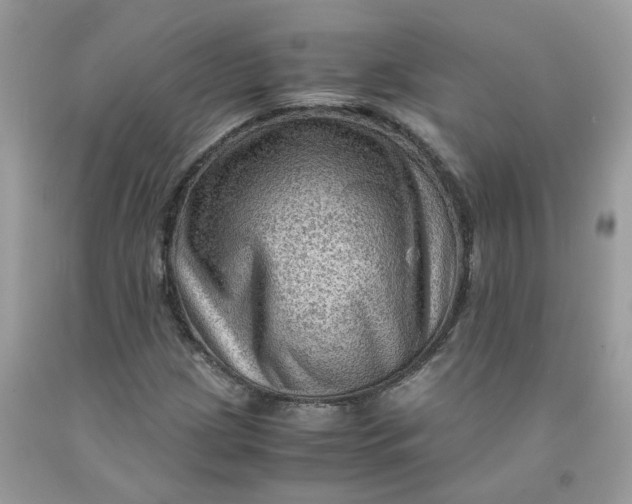 X0000091451209200709061727