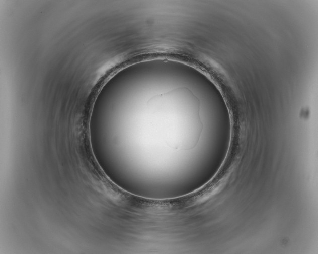 X0000091451210200709061727