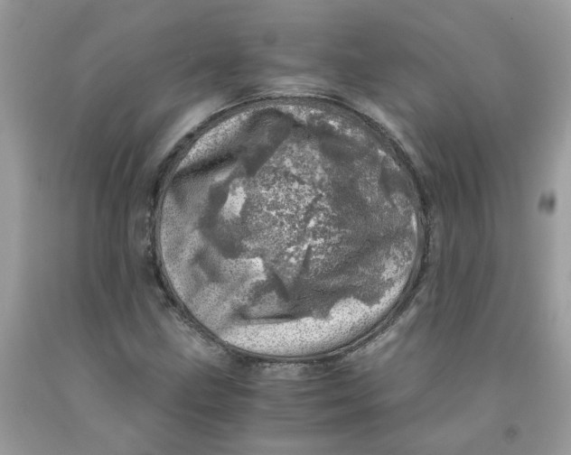 X0000091451211200709061728