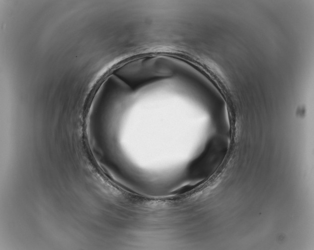 X0000091451212200709061728