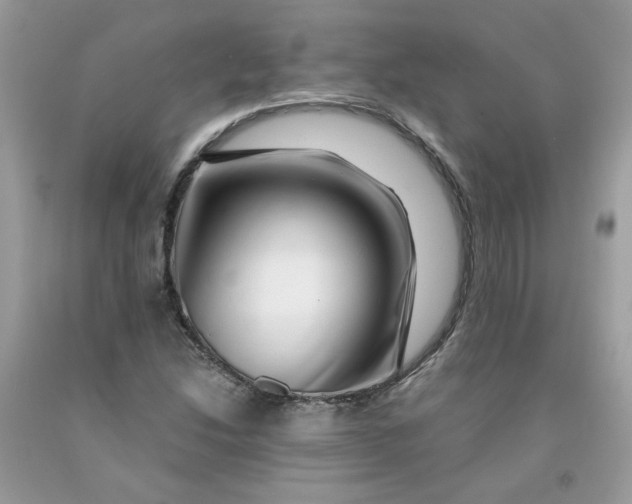 X0000091451214200709061728