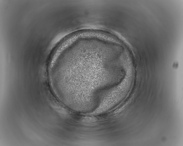 X0000091451215200709061728