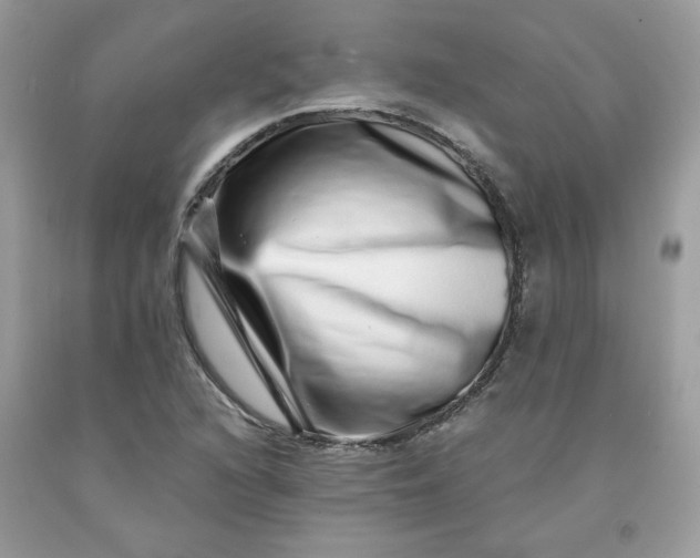 X0000091451216200709061728