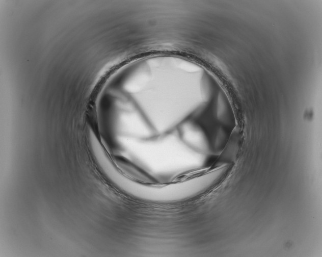 X0000091451218200709061728