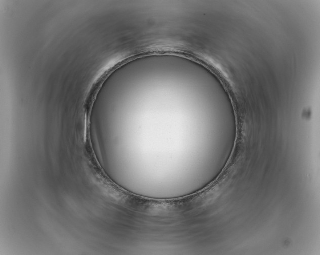 X0000091451219200709061728