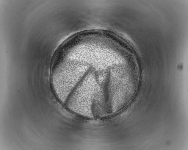 X0000091451220200709061728