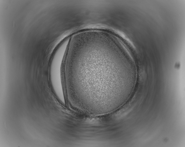 X0000091451221200709061728