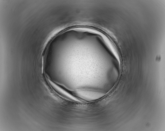 X0000091451223200709061728