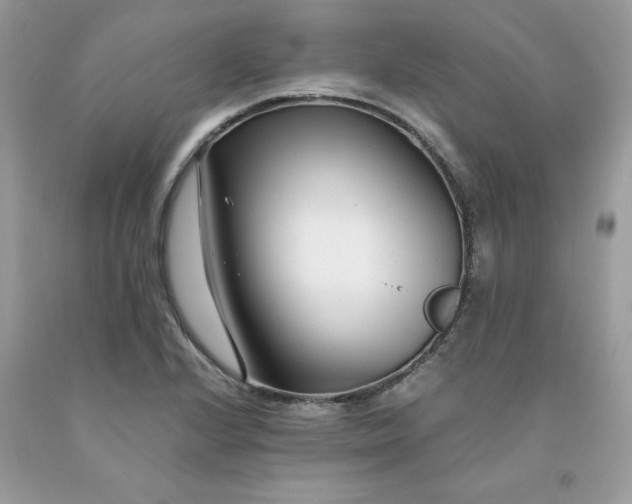 X0000091451224200709061728