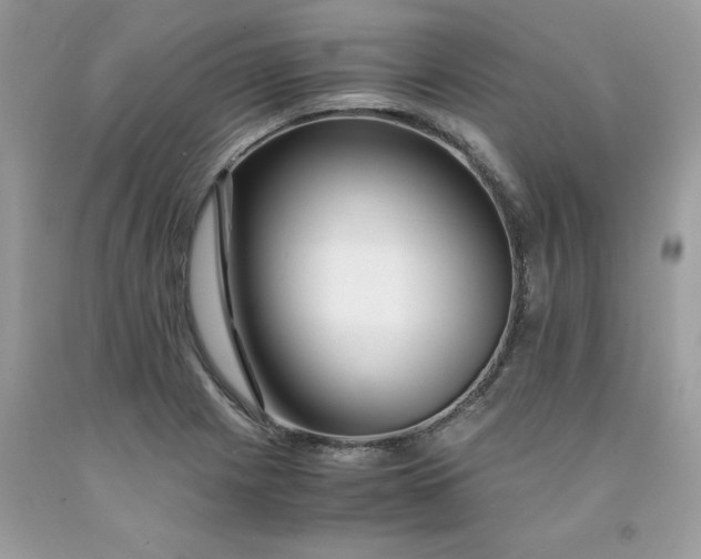 X0000091451225200709061728