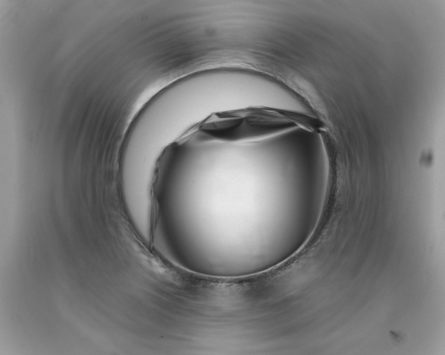 X0000091451226200709061728