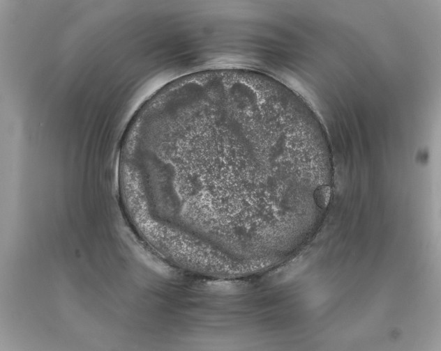 X0000091451227200709061728