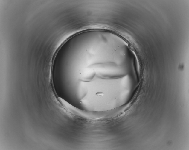 X0000091451228200709061728