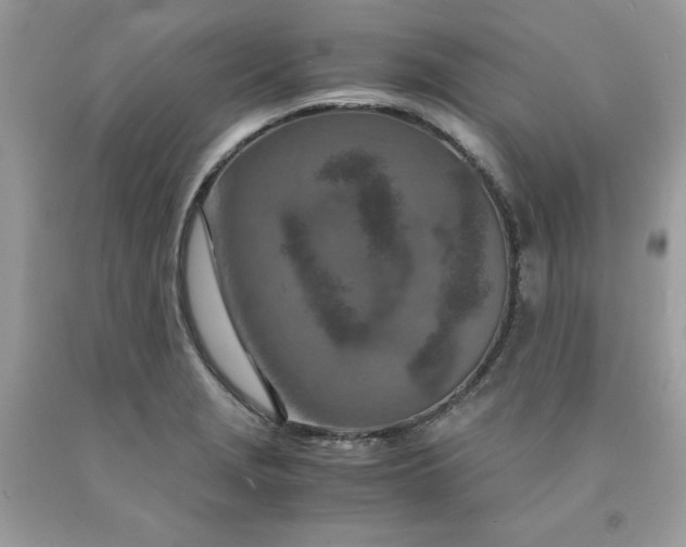 X0000091451229200709061728