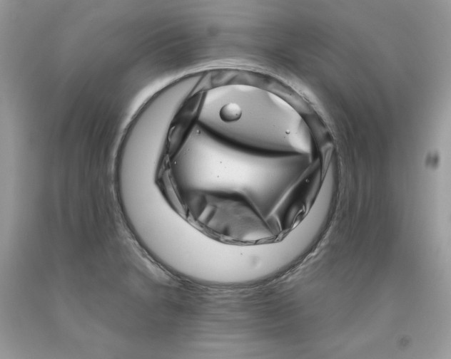 X0000091451230200709061728