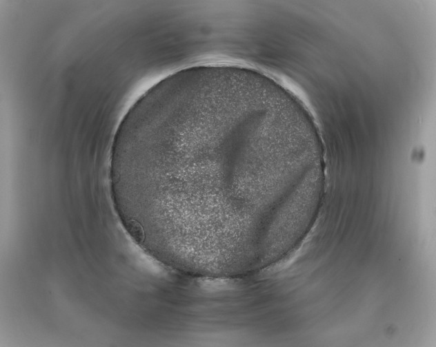 X0000091451231200709061728