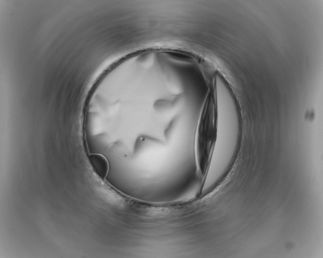 X0000091451232200709061728