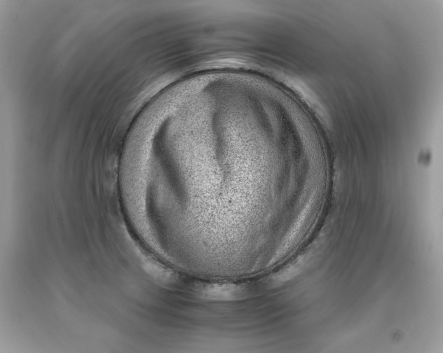 X0000091451233200709061728