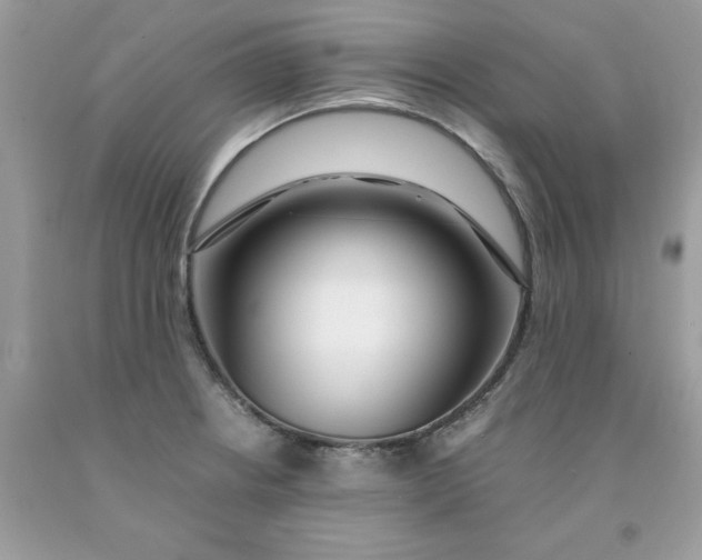 X0000091451234200709061728