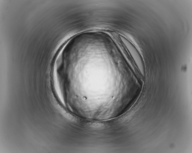 X0000091451235200709061728