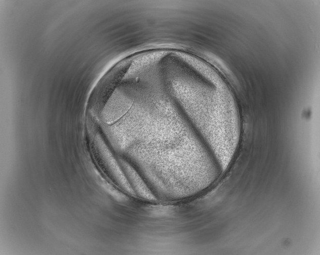 X0000091451236200709061728