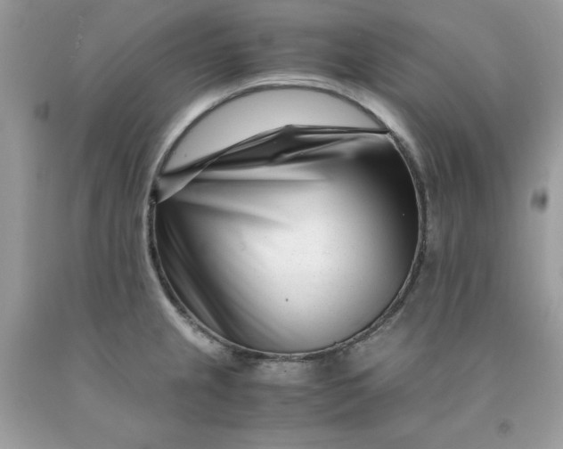 X0000091451237200709061728