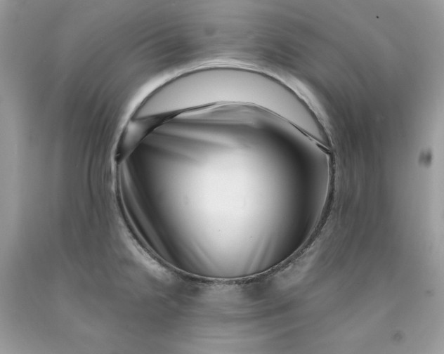 X0000091451238200709061728