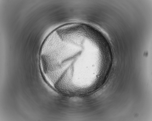 X0000091451239200709061728