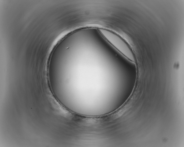 X0000091451240200709061728