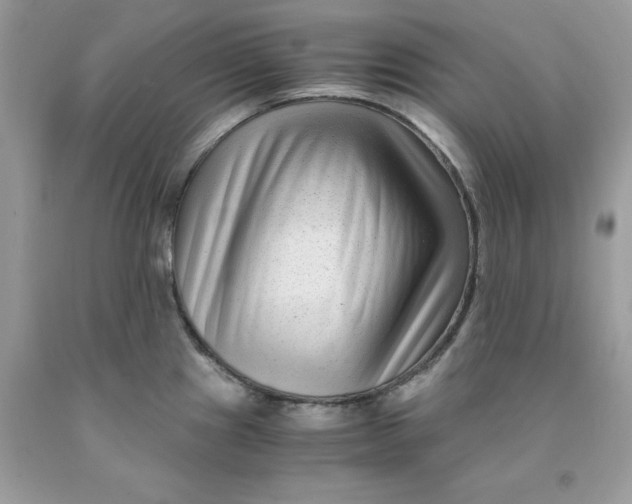 X0000091451241200709061728