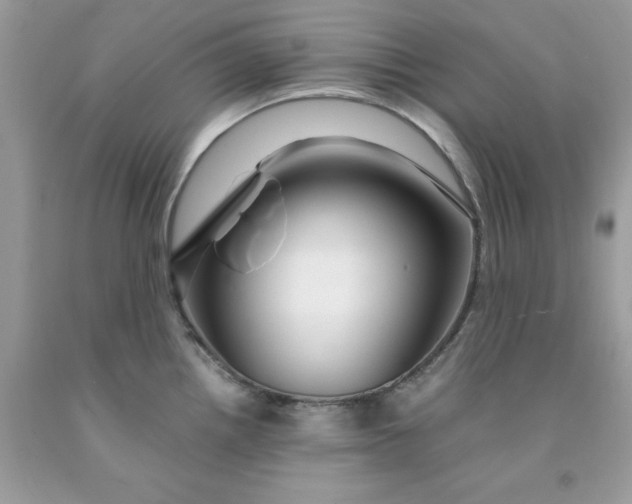 X0000091451242200709061728