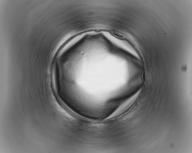 X0000091451243200709061728