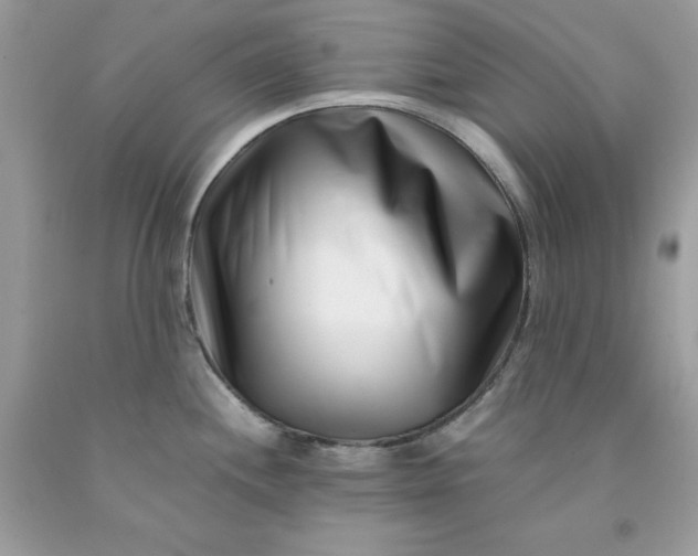 X0000091451244200709061728