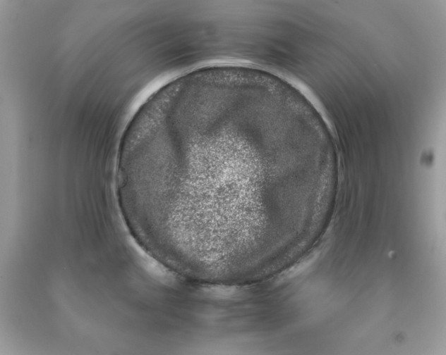 X0000091451245200709061728