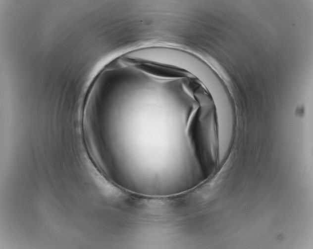 X0000091451246200709061728