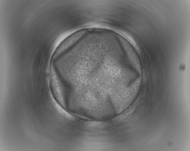 X0000091451247200709061728