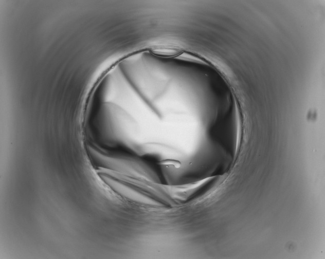 X0000091451248200709061728