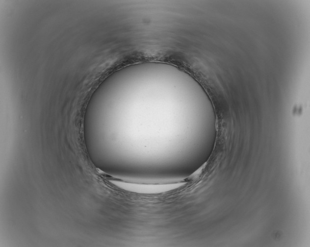 X0000091451249200709061727