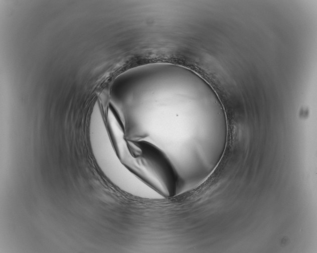 X0000091451250200709061727