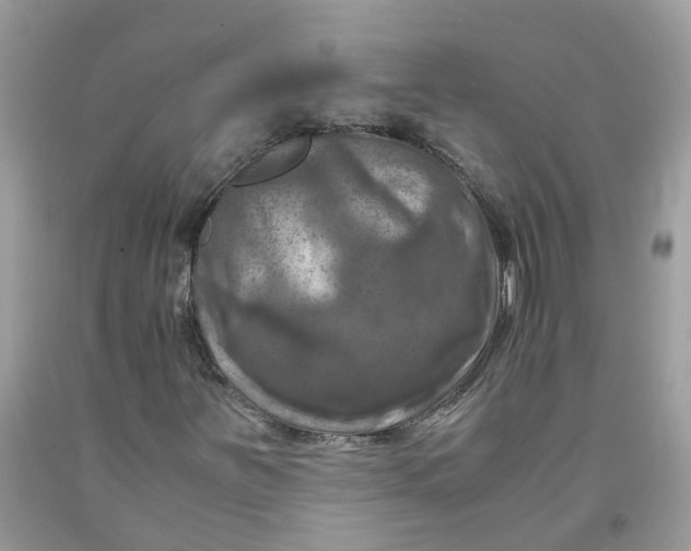 X0000091451251200709061727