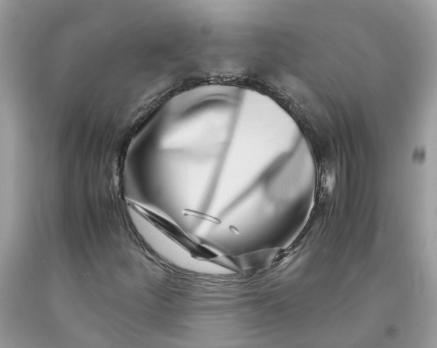 X0000091451252200709061727