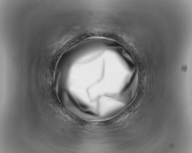 X0000091451253200709061727