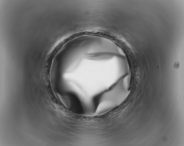 X0000091451256200709061727