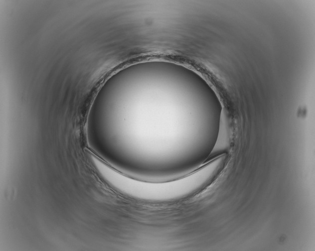 X0000091451257200709061727