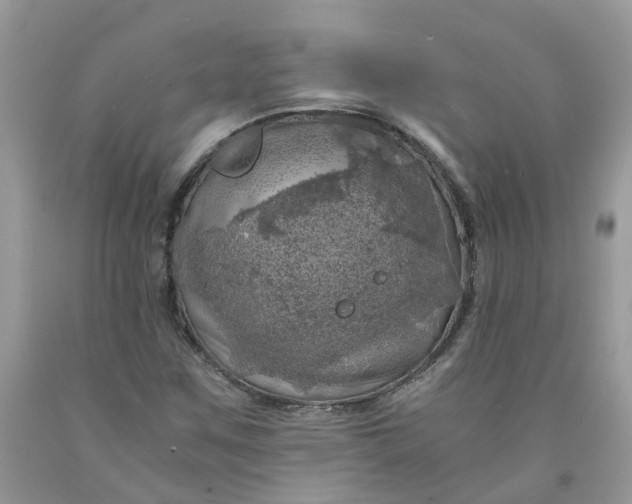 X0000091451259200709061727