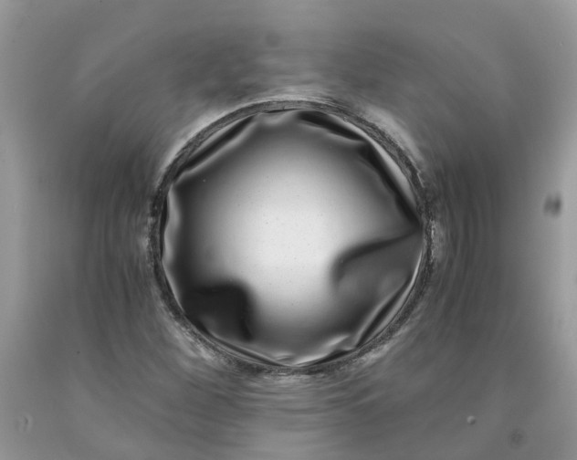 X0000091451260200709061727