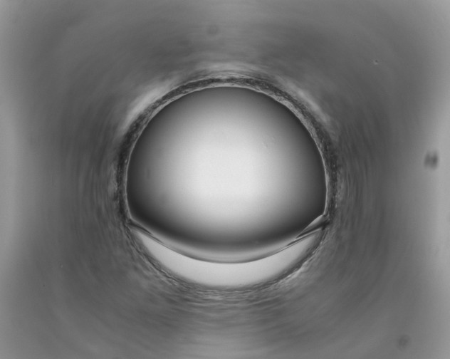 X0000091451261200709061727