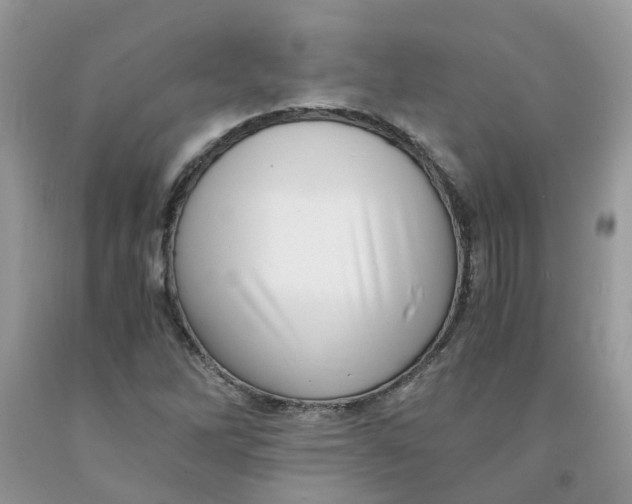 X0000091451262200709061727