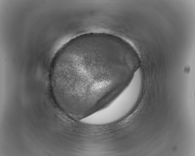 X0000091451263200709061727